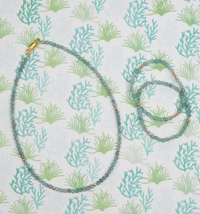 Agave Collection