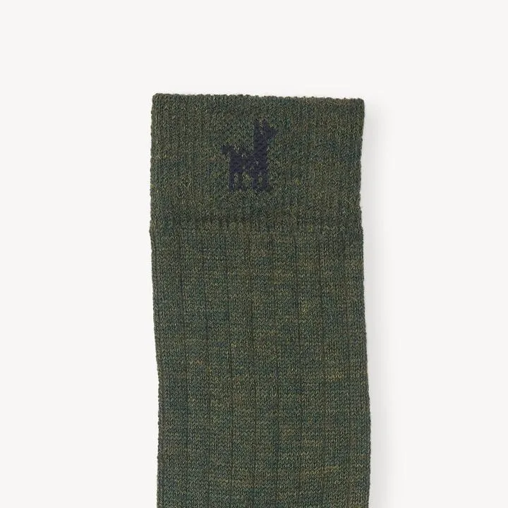 Everyday Sock- Spruce