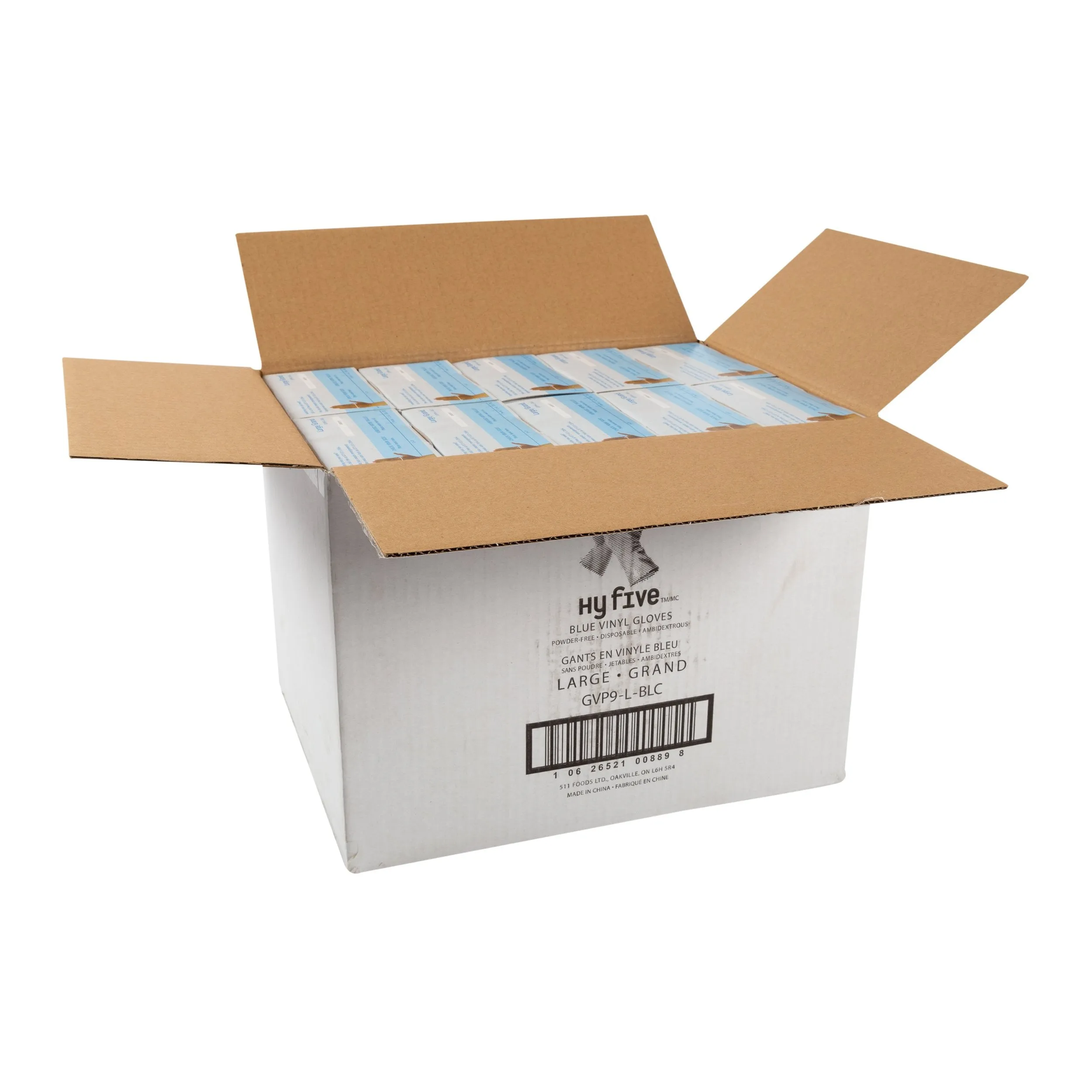 Glove FS Vinyl PF Blue, Case 100x10