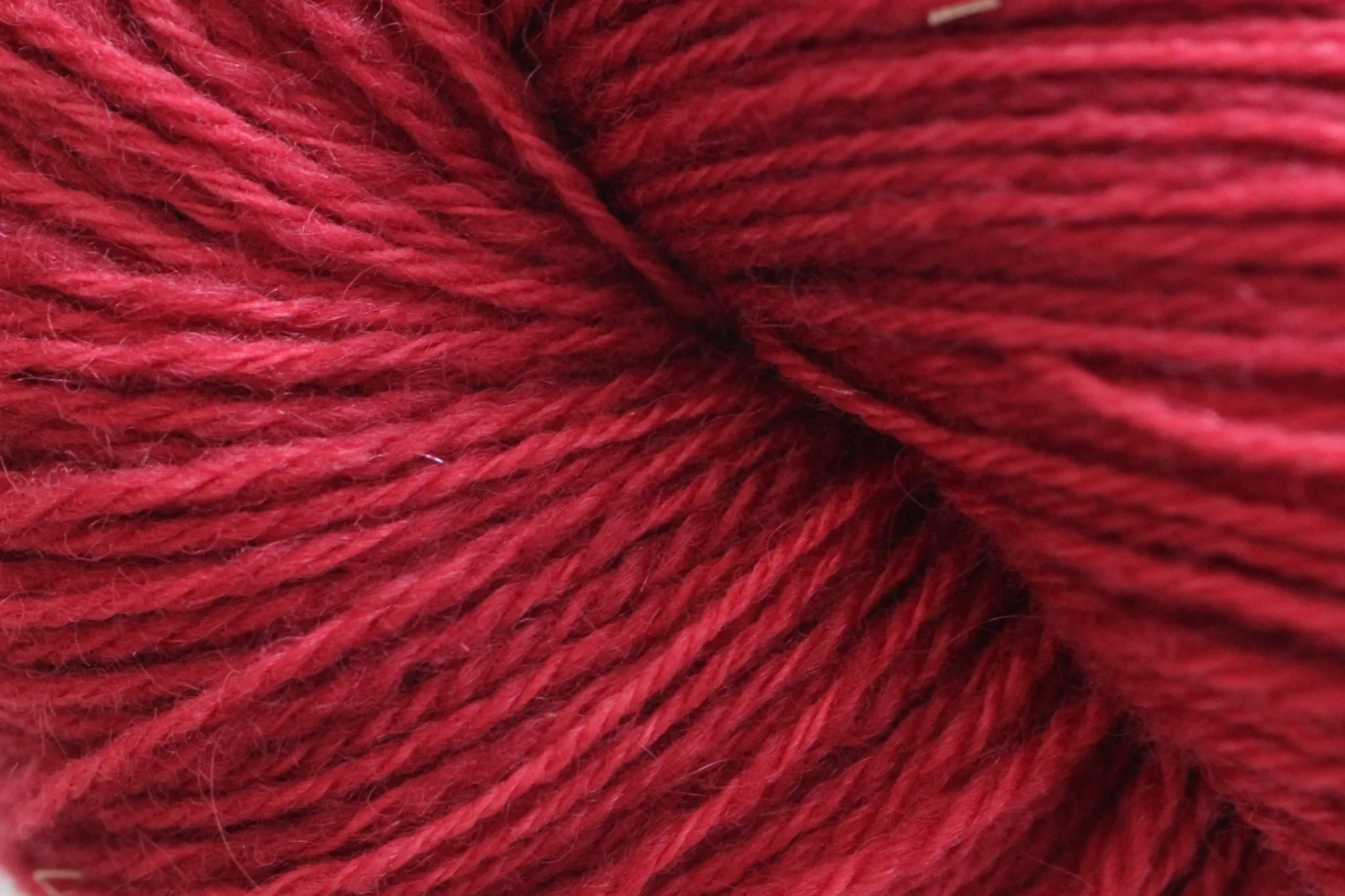 Rhubarb