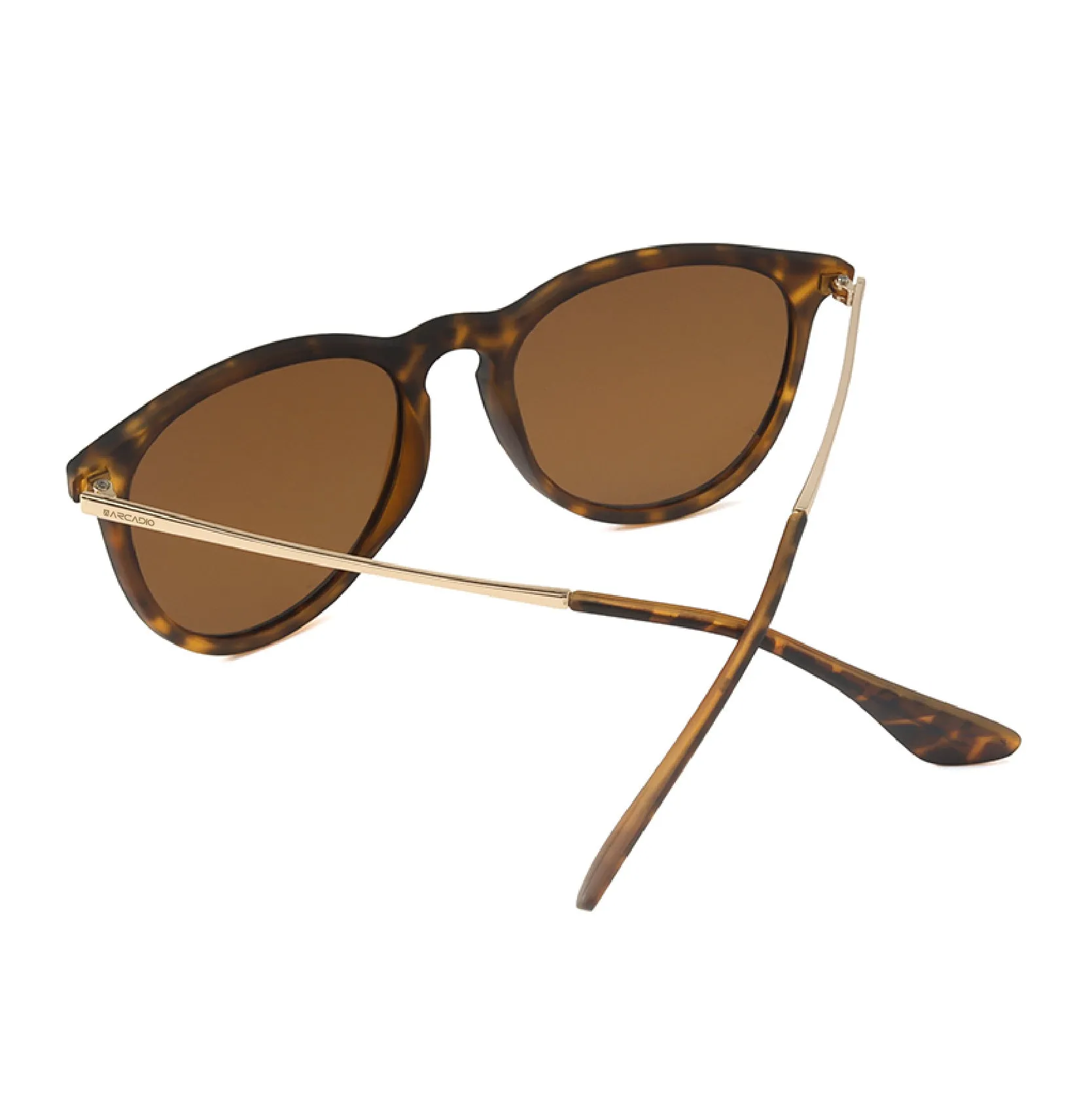 SYMPHONY Modified Square Sunglass AR-PL247