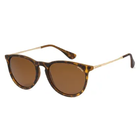 SYMPHONY Modified Square Sunglass AR-PL247