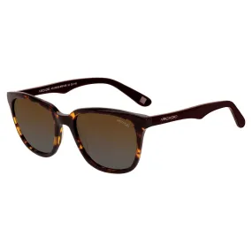 SYMPHONY Square Sunglass AR158